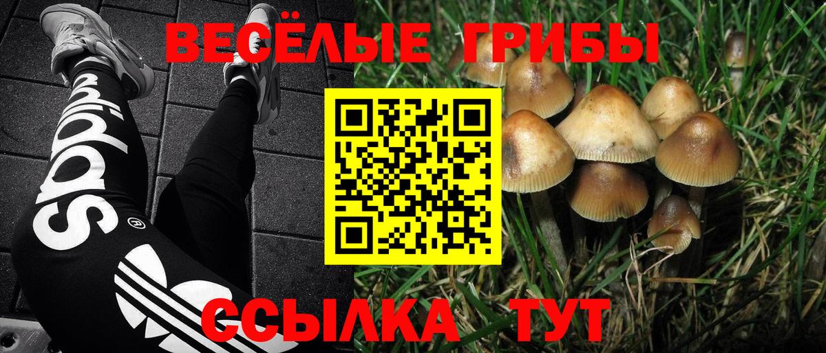 Галлюциногенные грибы ЛСД Борисоглебск